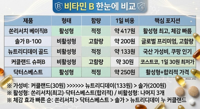 비타민B 추천 순위 Top 5 | 2026년 기준, "만성 피로"의 답 — 쏜리서치·솔가·뉴트리디데이·커....