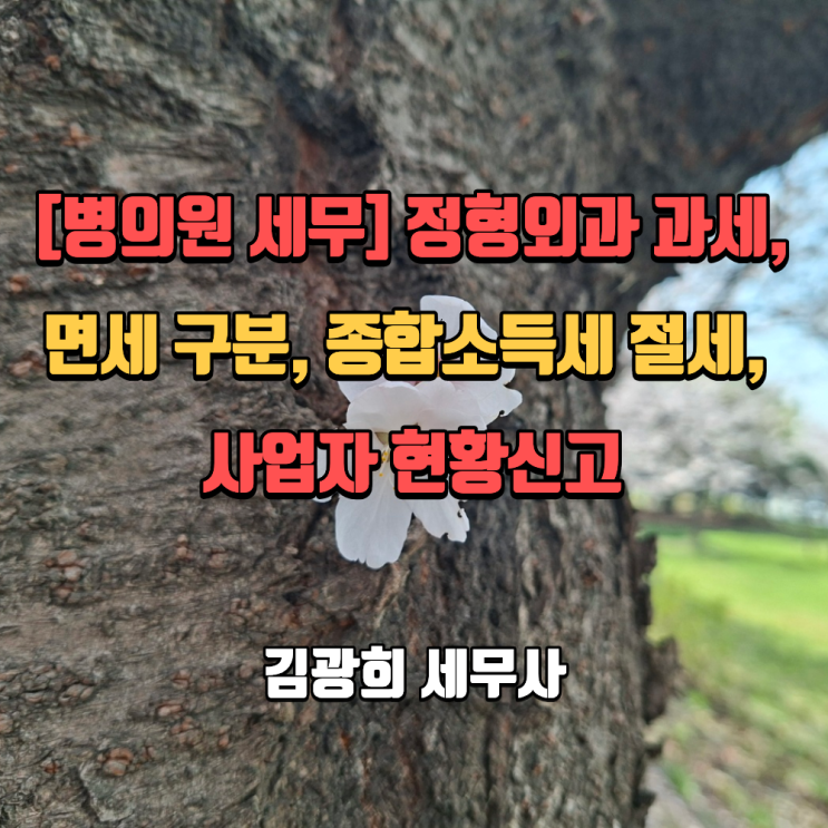  [병의원 세무] 정형외과 과세, 면세 구분, 종합소득세 절세, 사업자 현황신고