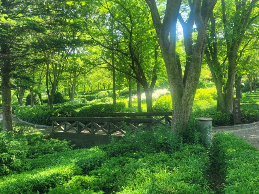 성서역사박물관 사진 1