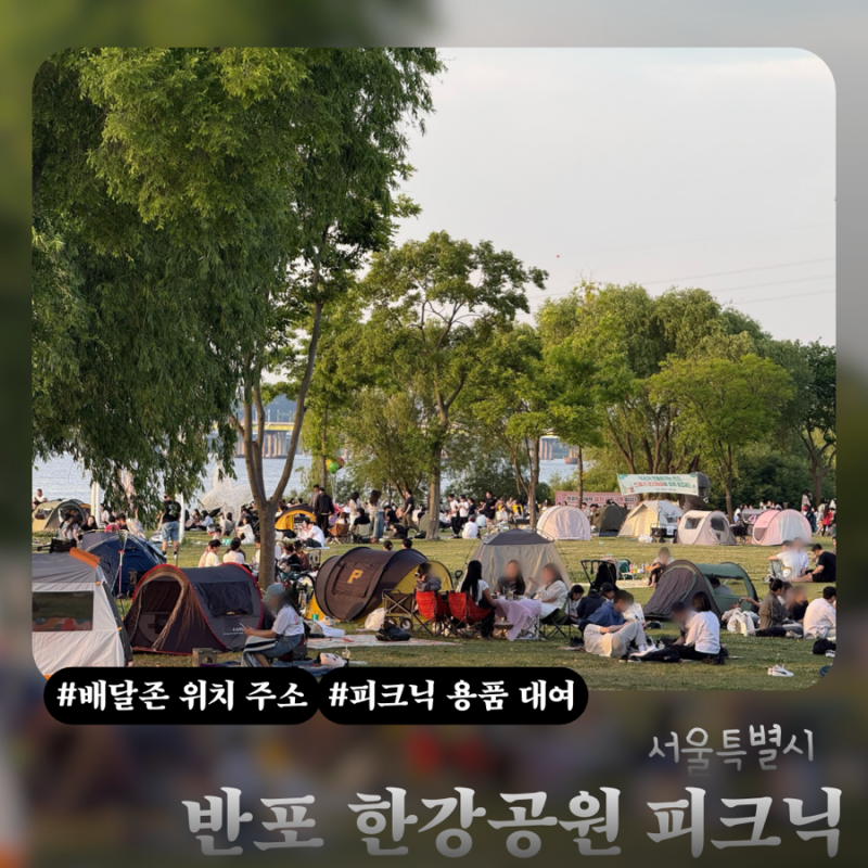 盤浦漢江公園配達ゾーン住所｜レジャーシートレンタル料金と設置場所のおすすめ