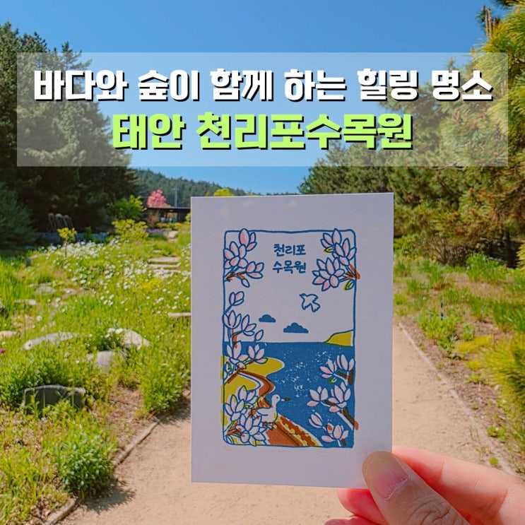  태안 천리포수목원 5월 풍경 안면도 여행지 가볼만한곳 추천