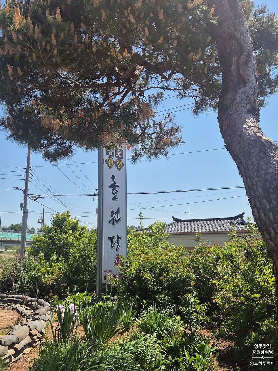 호원당식당 사진 2