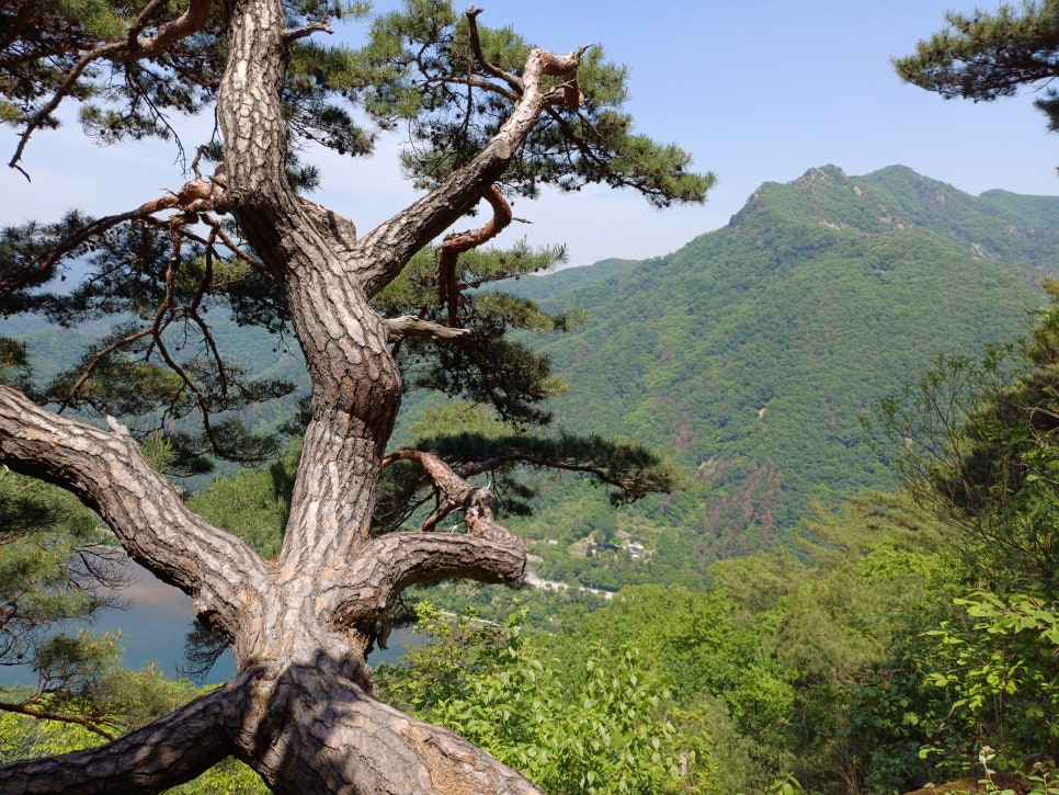 강선봉산림욕장 사진 2
