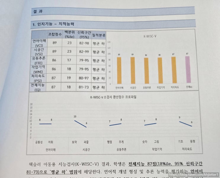  웩슬러 지능검사 비용, 점수 결과 받아들이는 마음 자세
