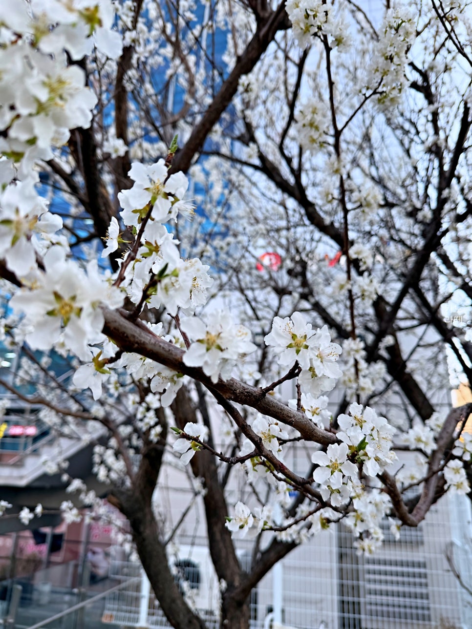 이화당 사진 1