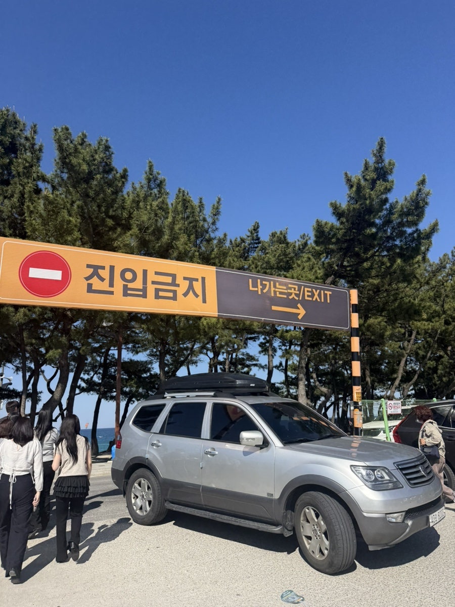 커피베이 강릉송정해변점 사진 3