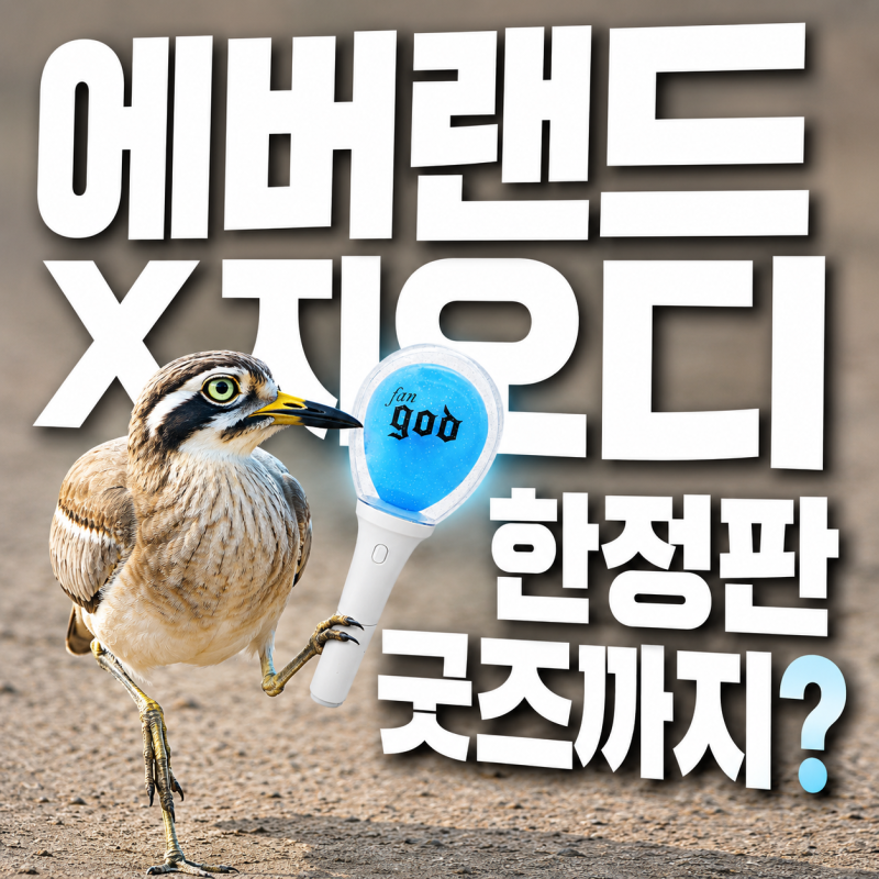 에버랜드에 god가 뜬다? 이건 단순 팬 행사가 아니다