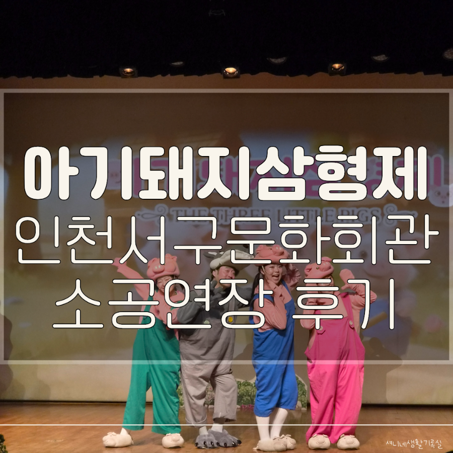 돼지삼형제 사진 1