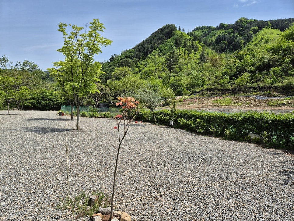 캠핑679 사진 2
