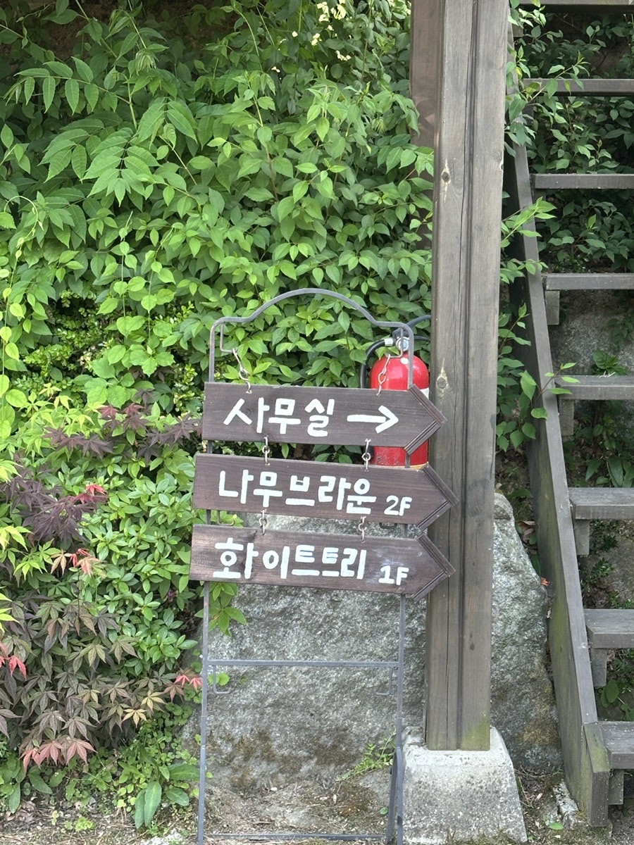 나무요일 사진 3
