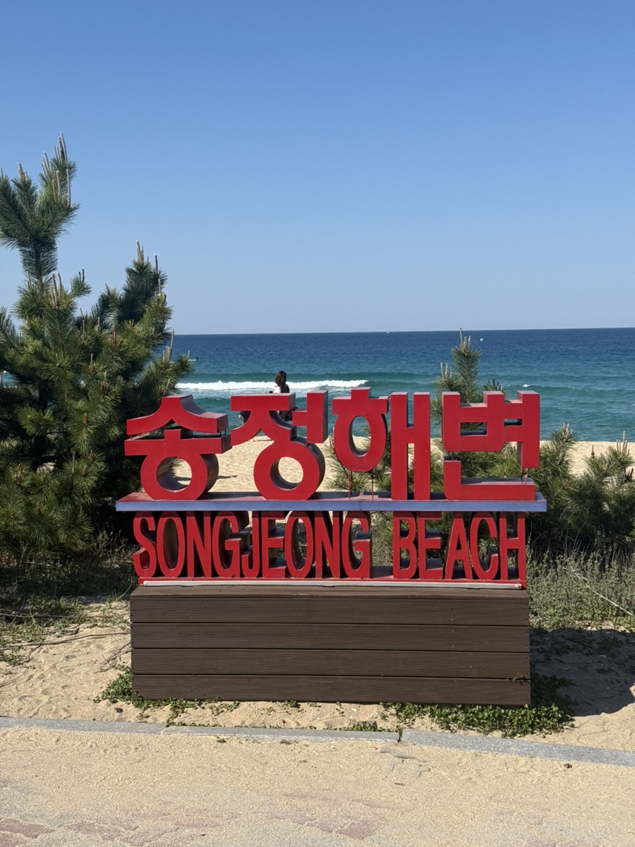 커피베이 강릉송정해변점 사진 1