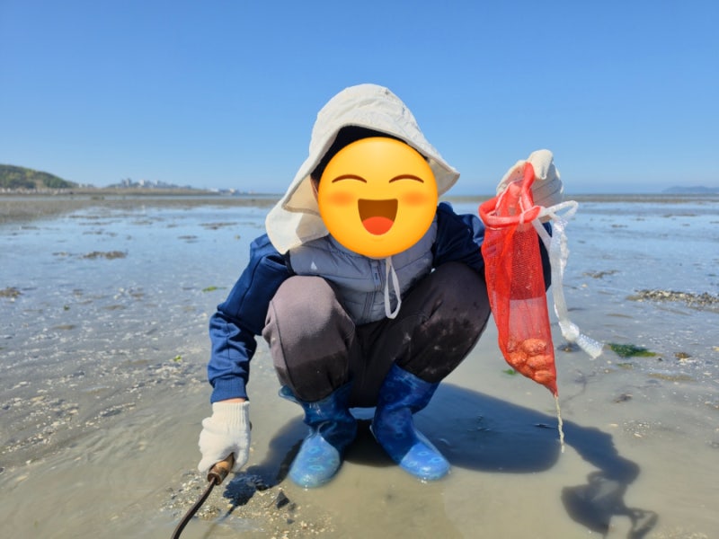 보령 가볼만한곳 군헌갯벌체험장 아이랑 바지락 캐기(시간, 가격, 준비물 팁)