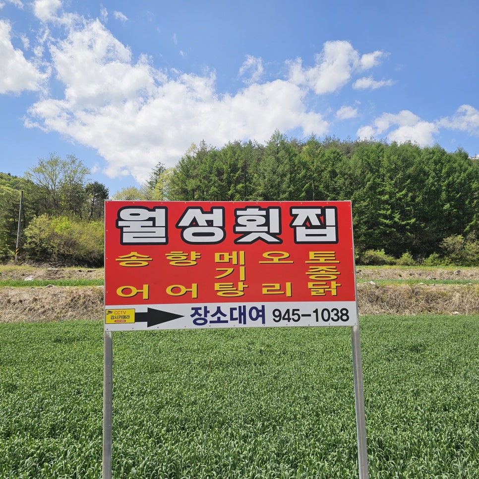 월성횟집 사진 1