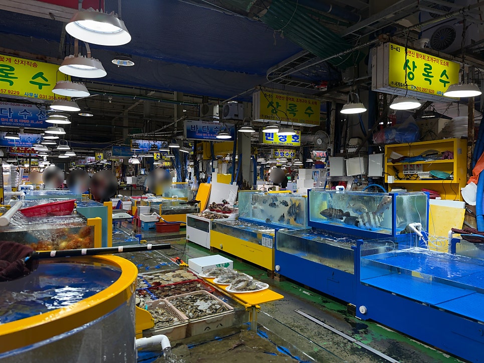 서해수산 사진 4