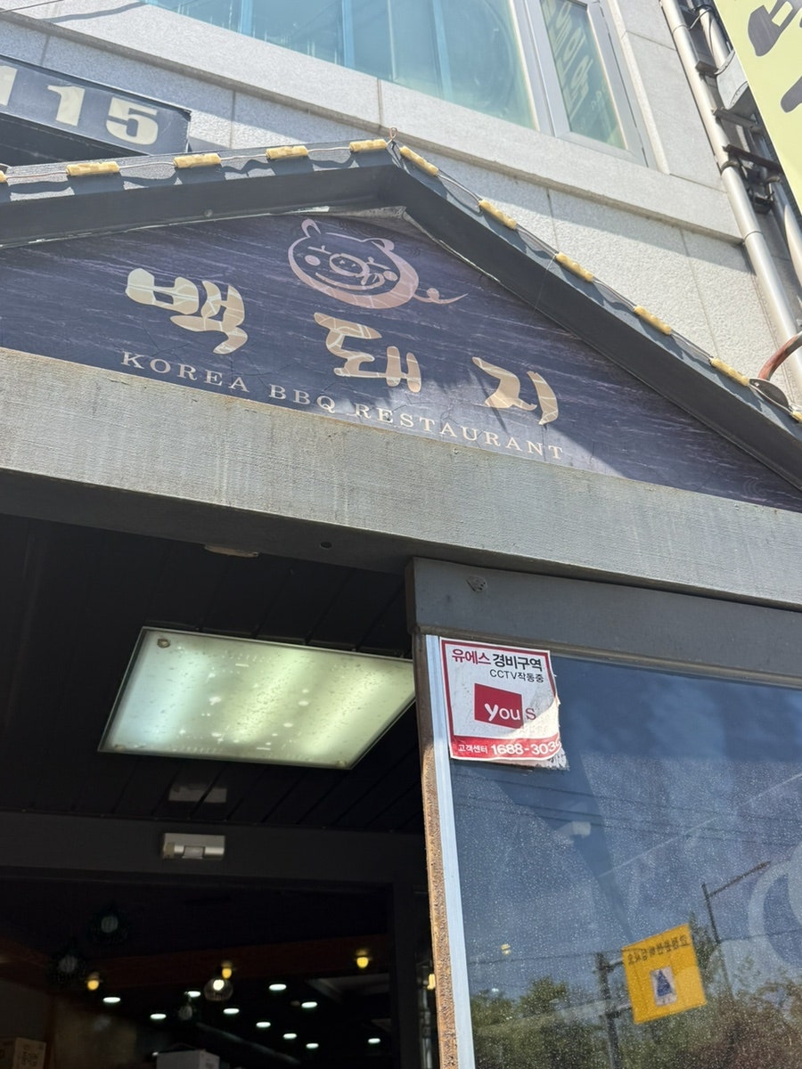 백돼지 사진 1