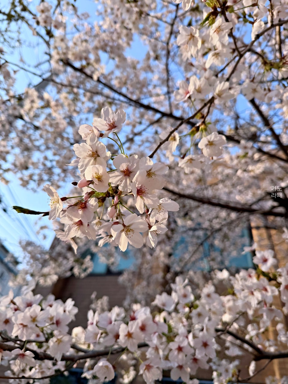 이화당 사진 4