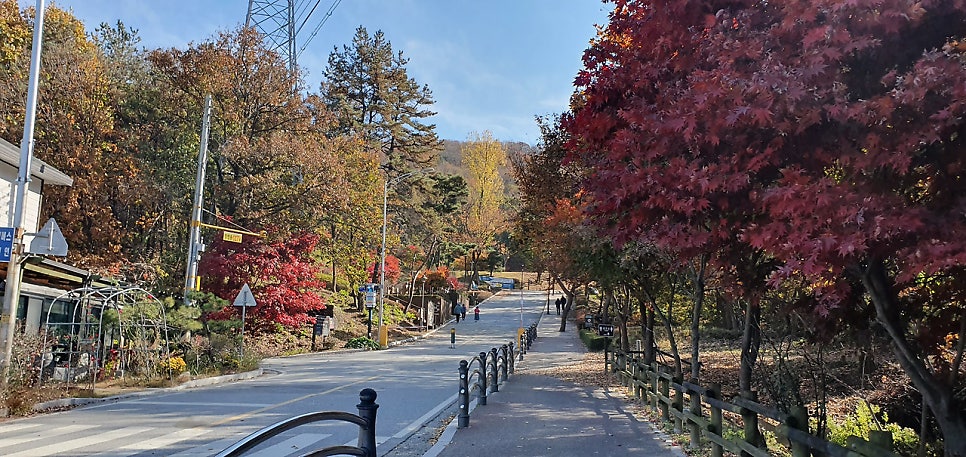 효양산 사진 2