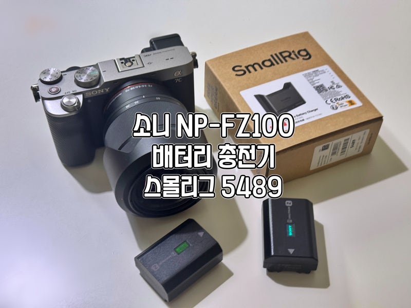 소니배터리충전기 문제 해결은 스몰리그 NP-FZ100 카메라고속충전기