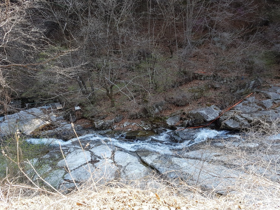 숲오름펜션 사진 4