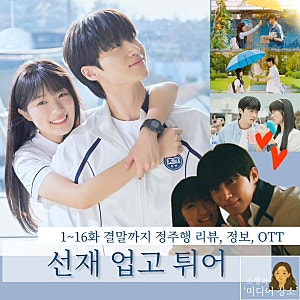 선재 업고 튀어 | 여전히 그리운 케미 1~16화 결말까지 정주행 리뷰, 정보, OTT (2024)