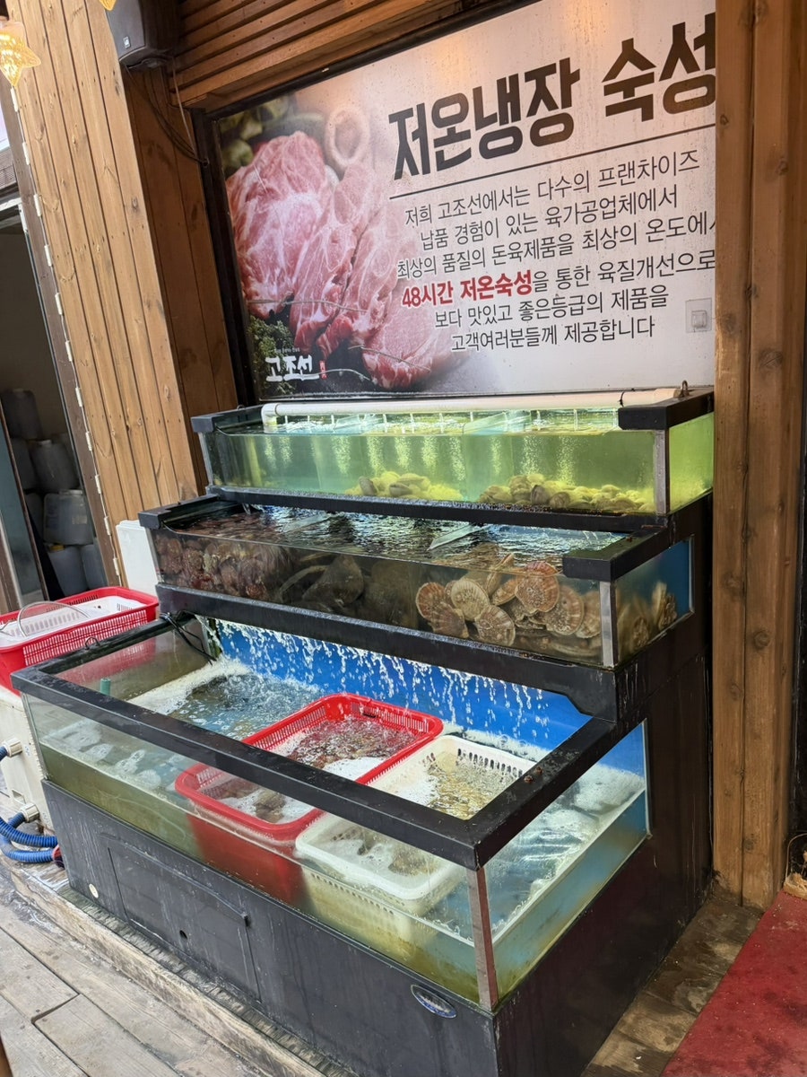 고조선 사진 3
