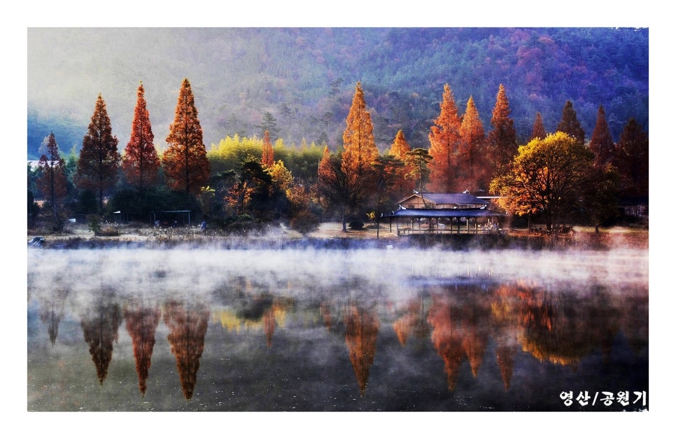 오봉제 사진 5