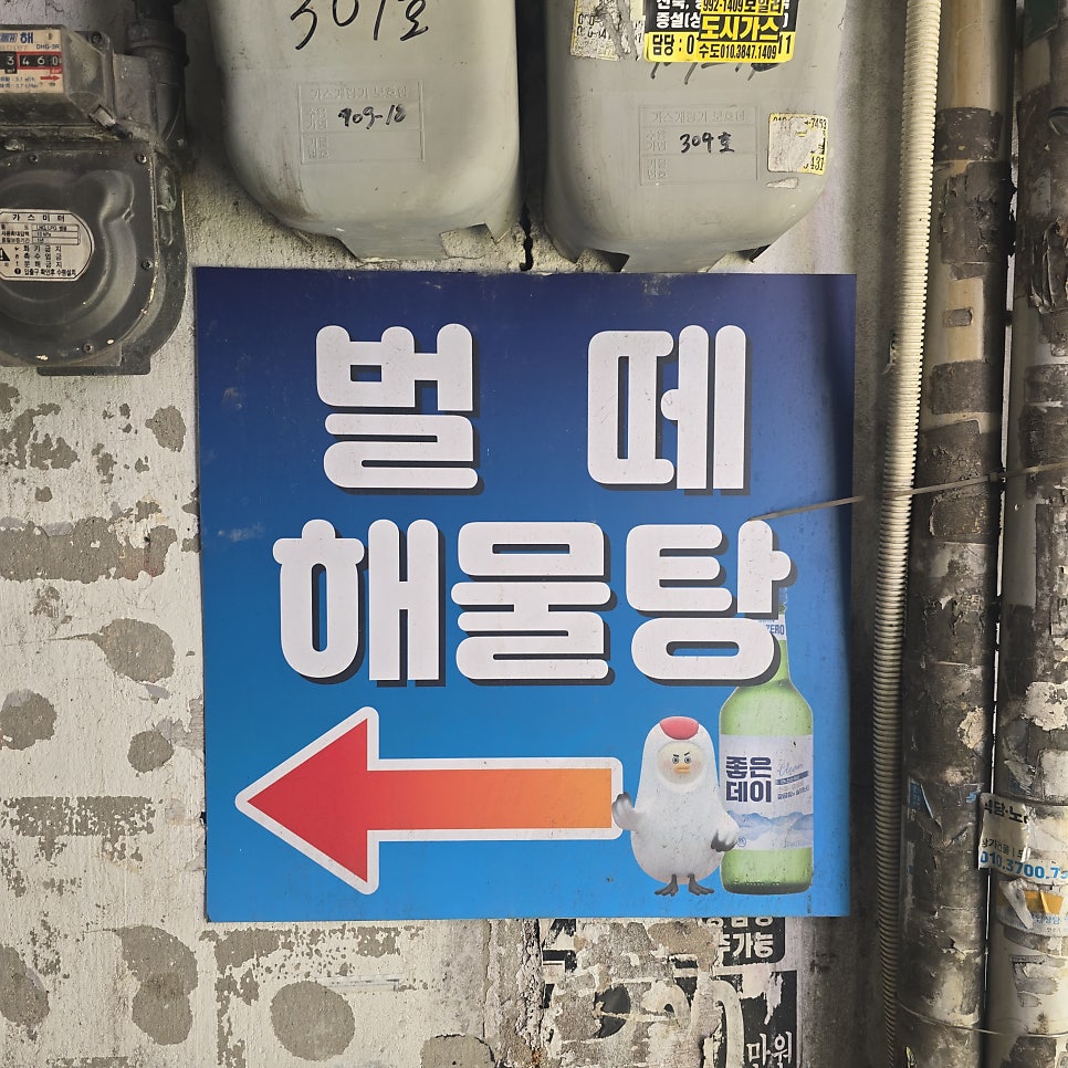 벌떼집 사진 4