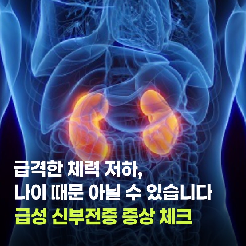 급격한 체력 저하,나이 때문 아닐 수 있습니다급성 신부전증 증상 체크