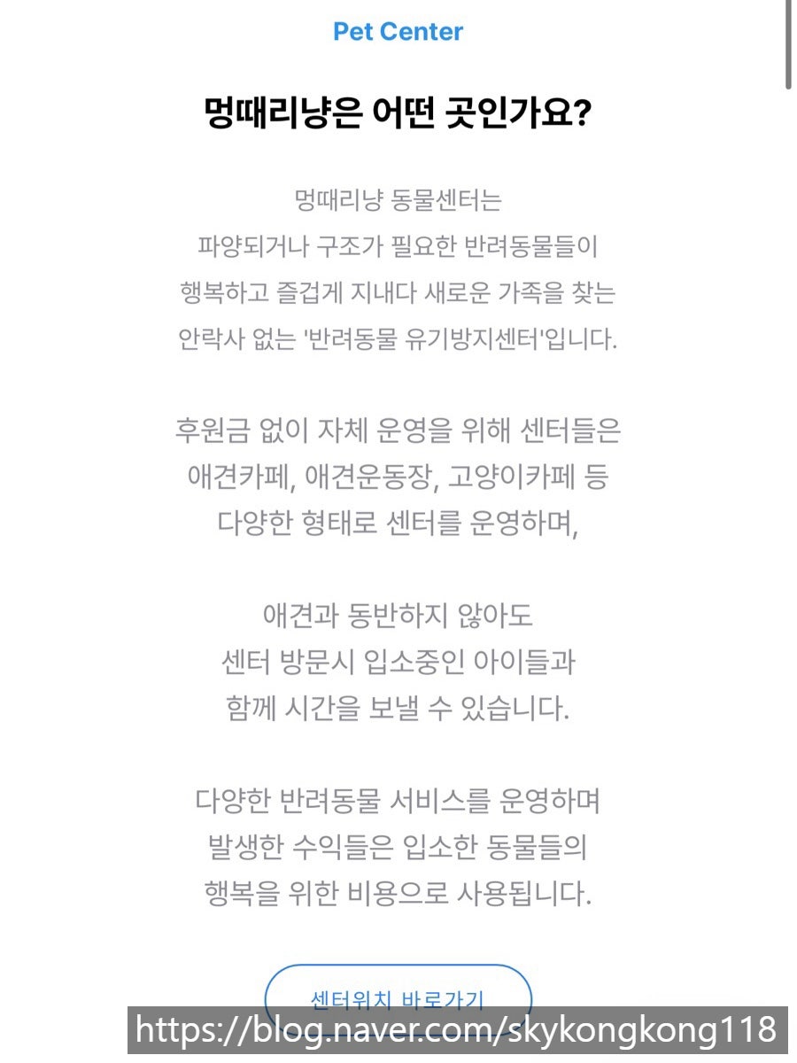 멍때리냥 김포점 사진 5