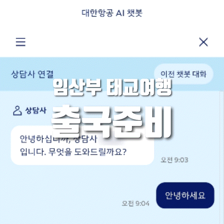  임산부 여행준비 | 사전 좌석 지정, 여행자보험 들기, 교통약자 출국 정보, 면세점 픽업 예약, 후쿠오카 여행 팁