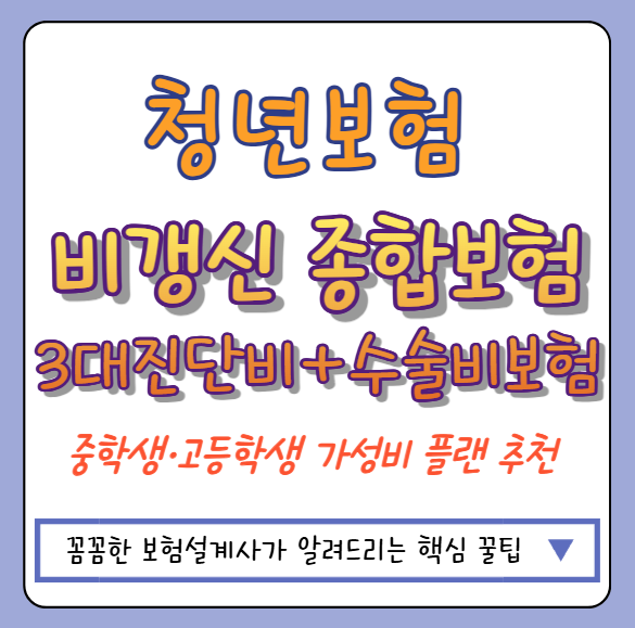 중학생·고등학생 10대 청년보험 비갱신 종합보험 가성비 플랜 추천