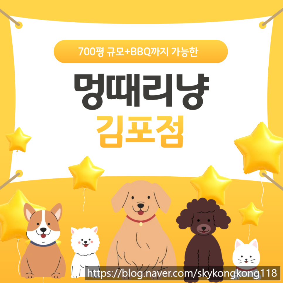 멍때리냥 김포점 사진 1