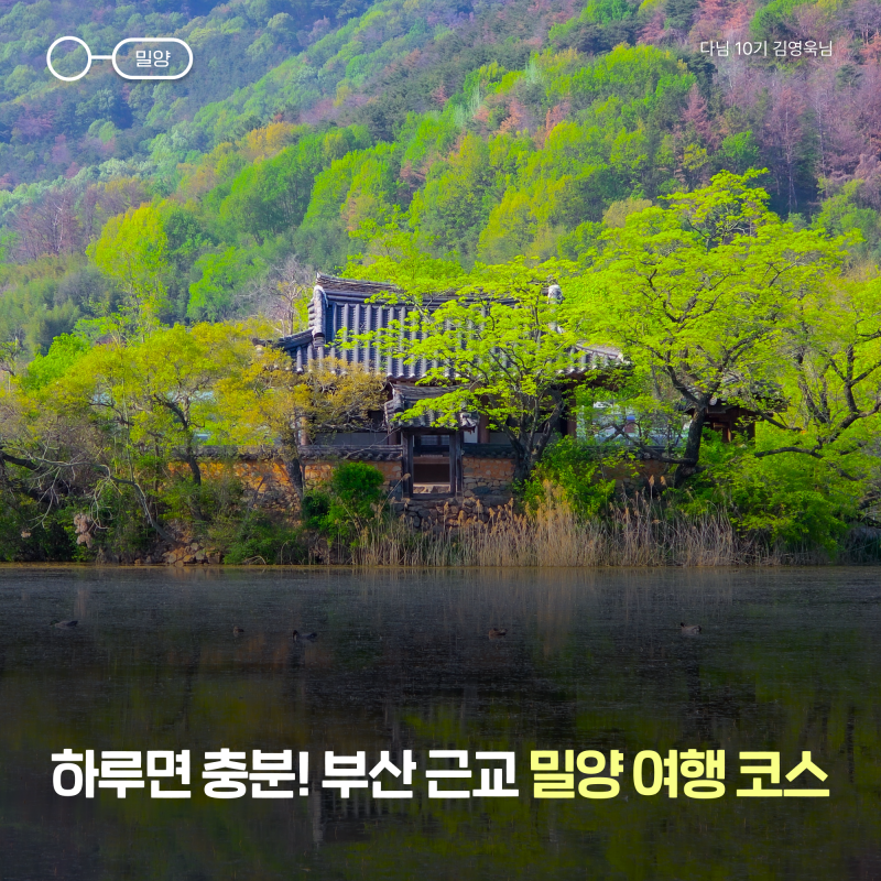 부산 근교 밀양 당일치기 여행 :: 사진 명소부터 현지 맛집 코스 추천