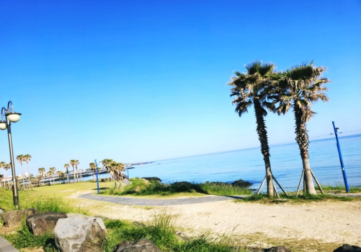  함덕해수욕장ㅣ제주도 차박 후기