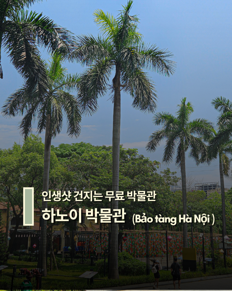  하노이 박물관 — 무료입장에 인생샷까지, 가족 나들이 완전 추천