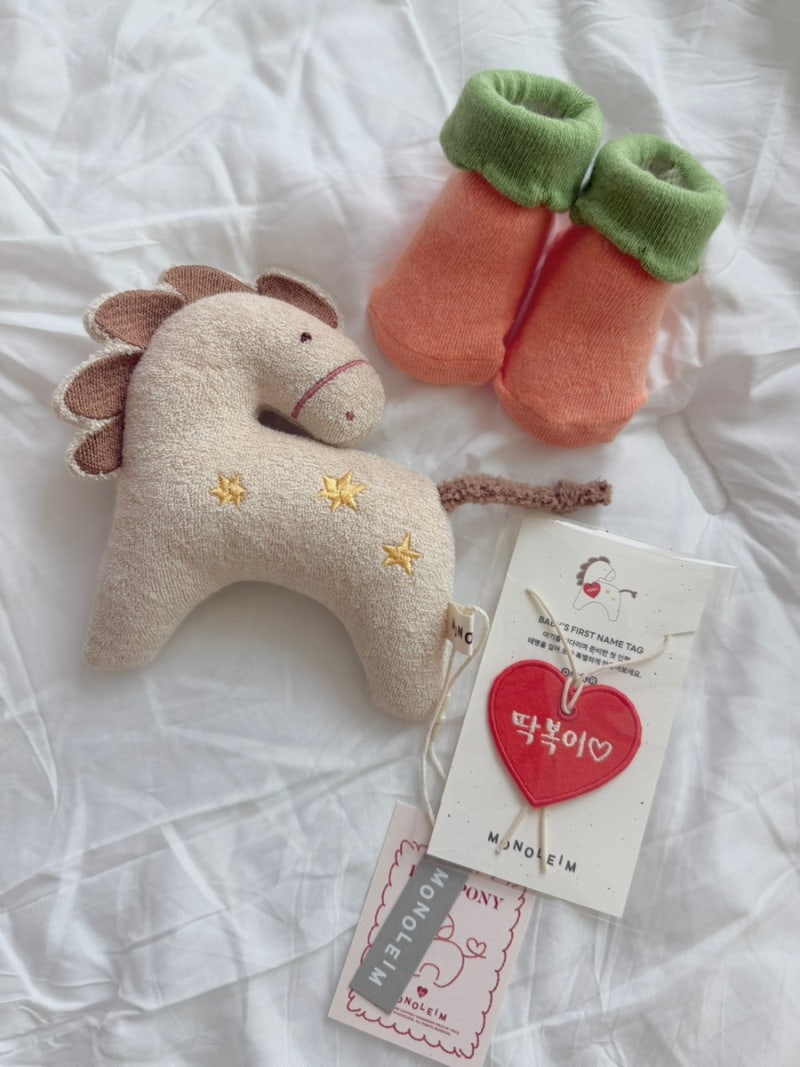 [26년 1월부터 7월까지] 임신초기부터~ 중기(28주)까지: 임산부 일상 모음집