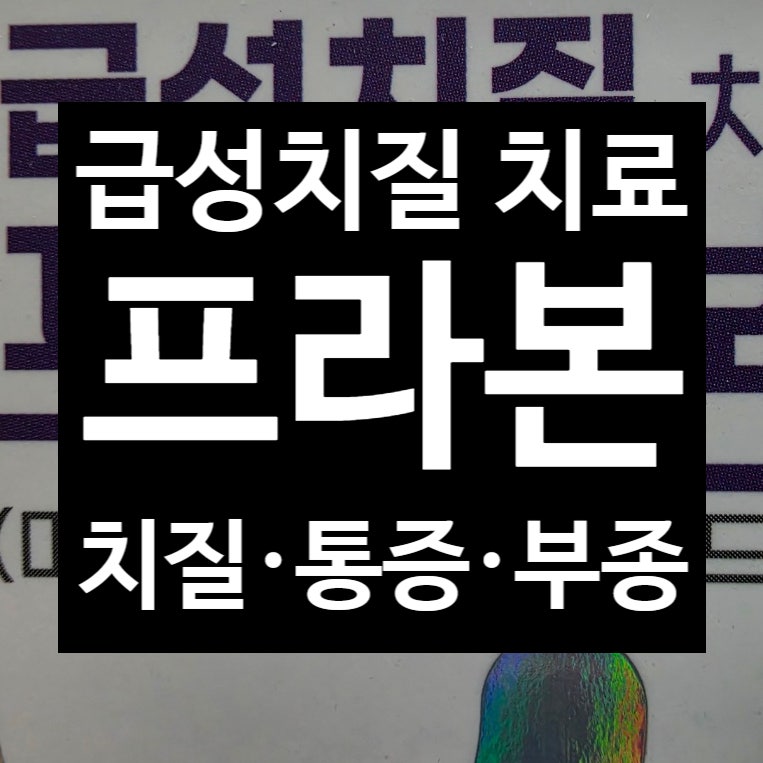 프라본정, 급성치질에 먹는 치질약? 디오스민과 다른 점 정리 _천안아산 광은약국