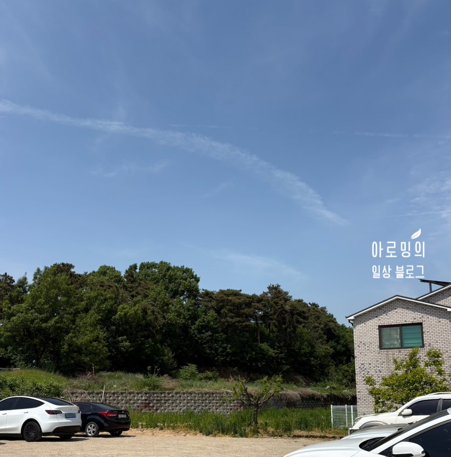파레트 본점 사진 2