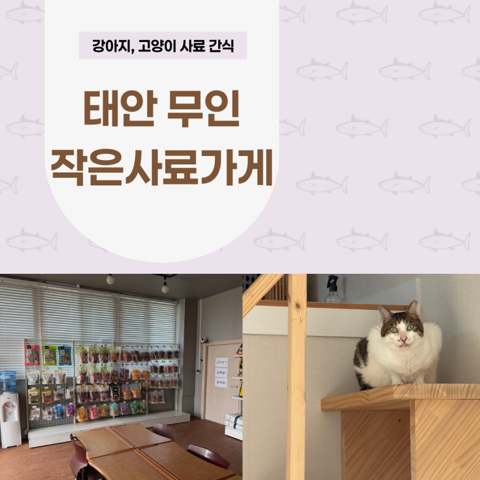 메일빈 무인카페 사진 1