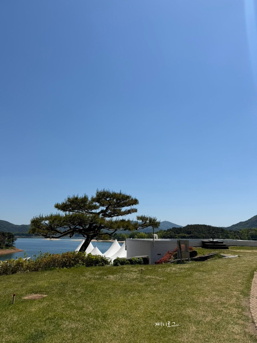 테라베오 사진 2