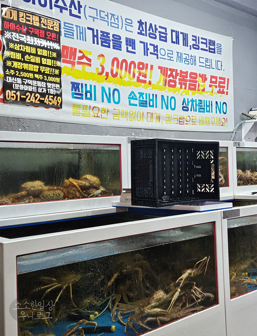 하이수산 구덕운동장점 사진 3