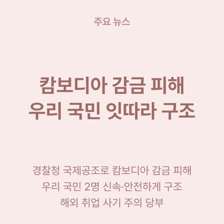  캄보디아 취업 사기 감금 피해 한국인 구조 9시간 실제 사례