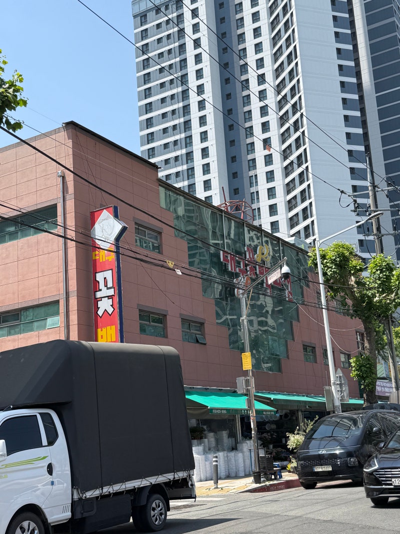 웨딩 21] 대구 칠성꽃시장 부케 만들기, 가성비 생화부케, 대구 생화부케 추천, 한라꽃집, 주....