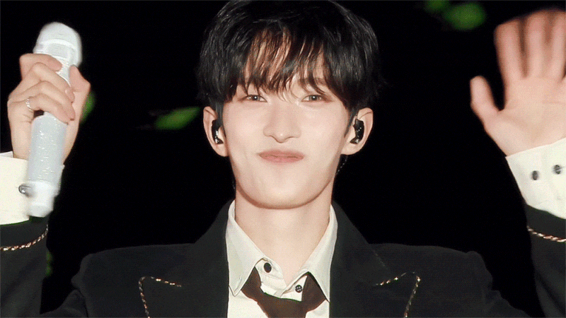 SEVENTEEN ドギョム 写真 GIF