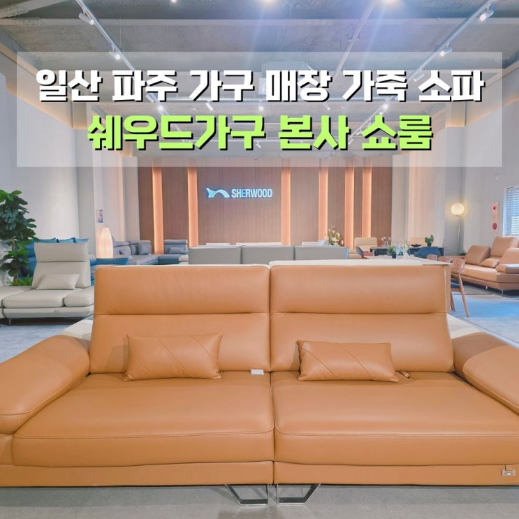  가죽 소파 고민된다면, 일산 파주 가구 매장 쉐우드가구 쇼룸
