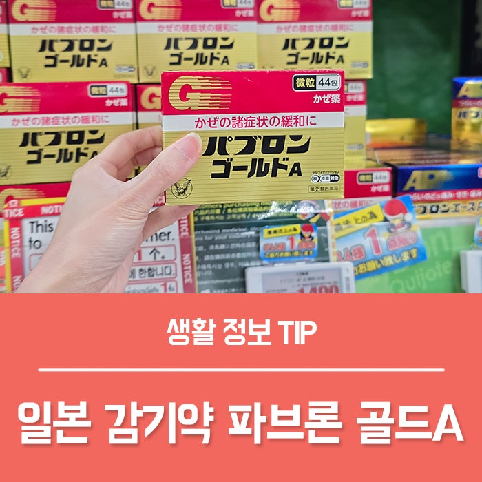 일본 감기약 파브론 골드A 성분 효과 부작용 복용법, 국내 반입 방법은?