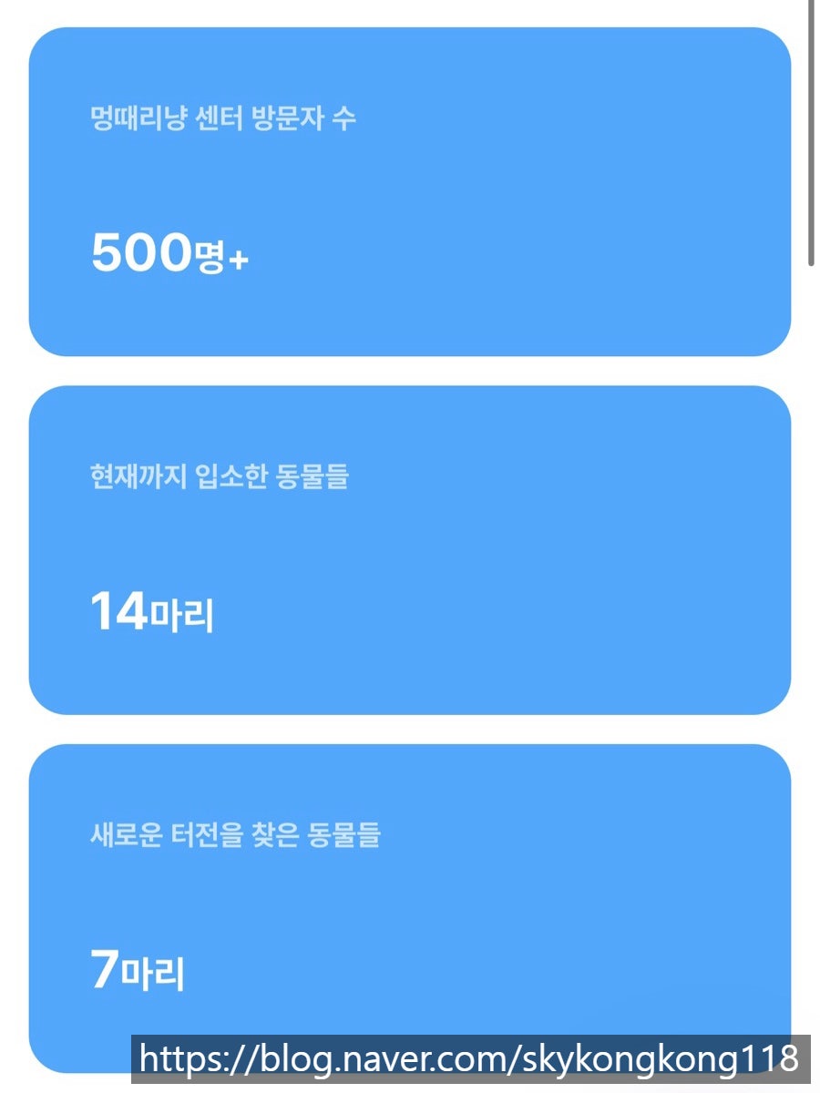 멍때리냥 김포점 사진 6