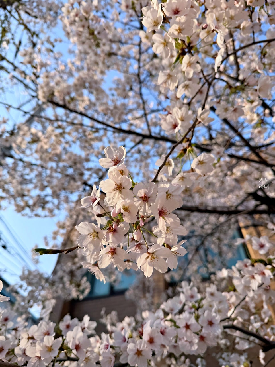 이화당 사진 6