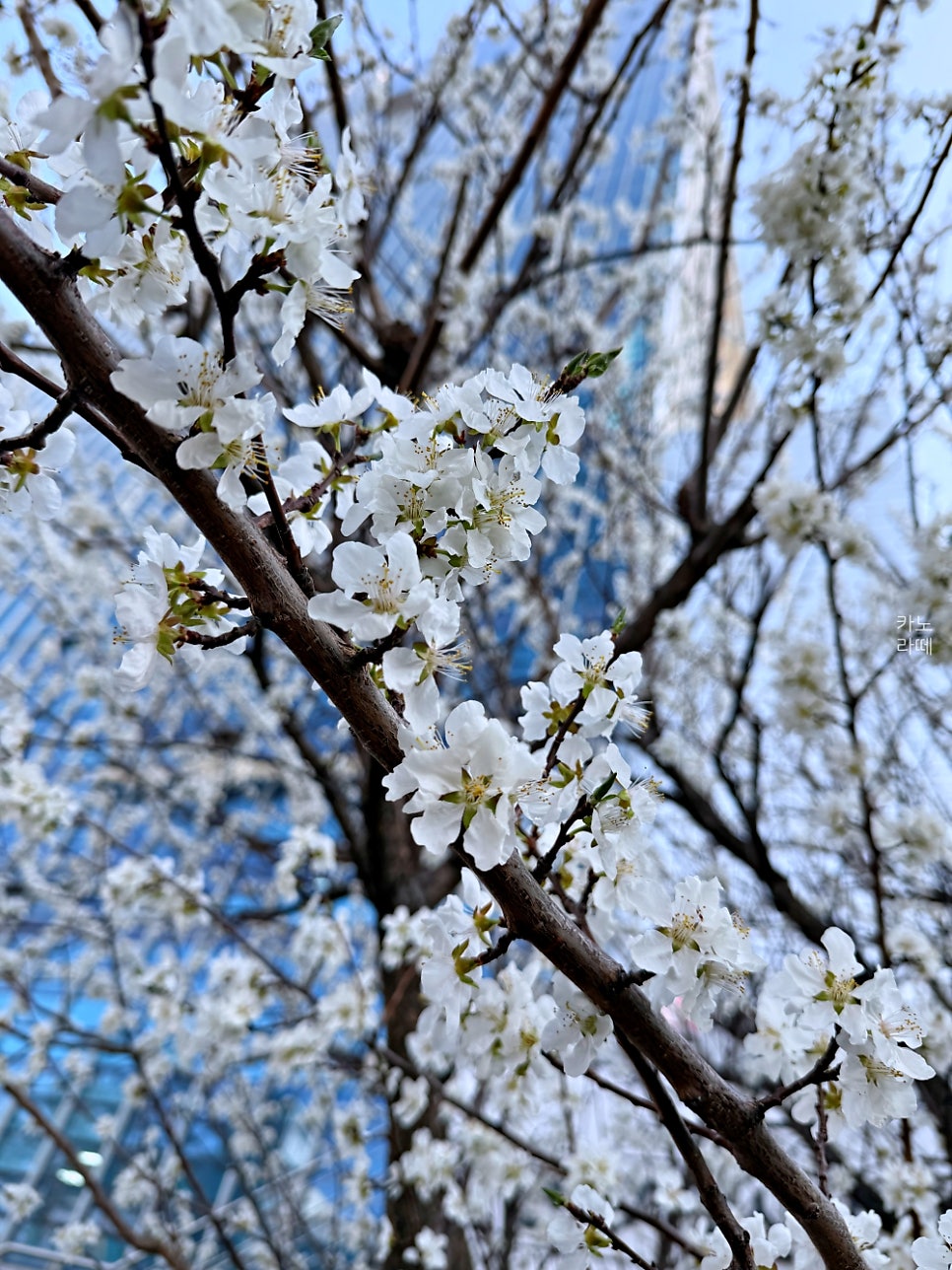 이화당 사진 2