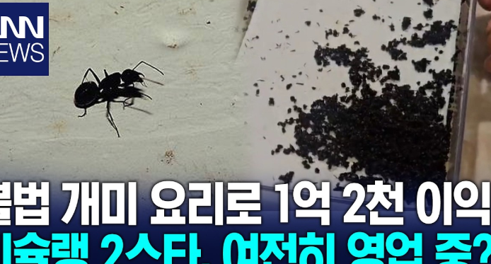 <b>미슐랭</b> 2스타 <b>미슐랭</b> <b>개미 디저트</b> 재판행 논란